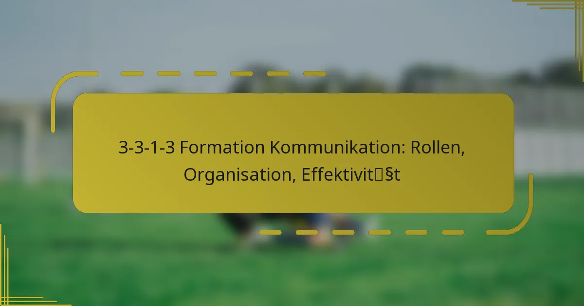 3-3-1-3 Formation Kommunikation: Rollen, Organisation, Effektivität