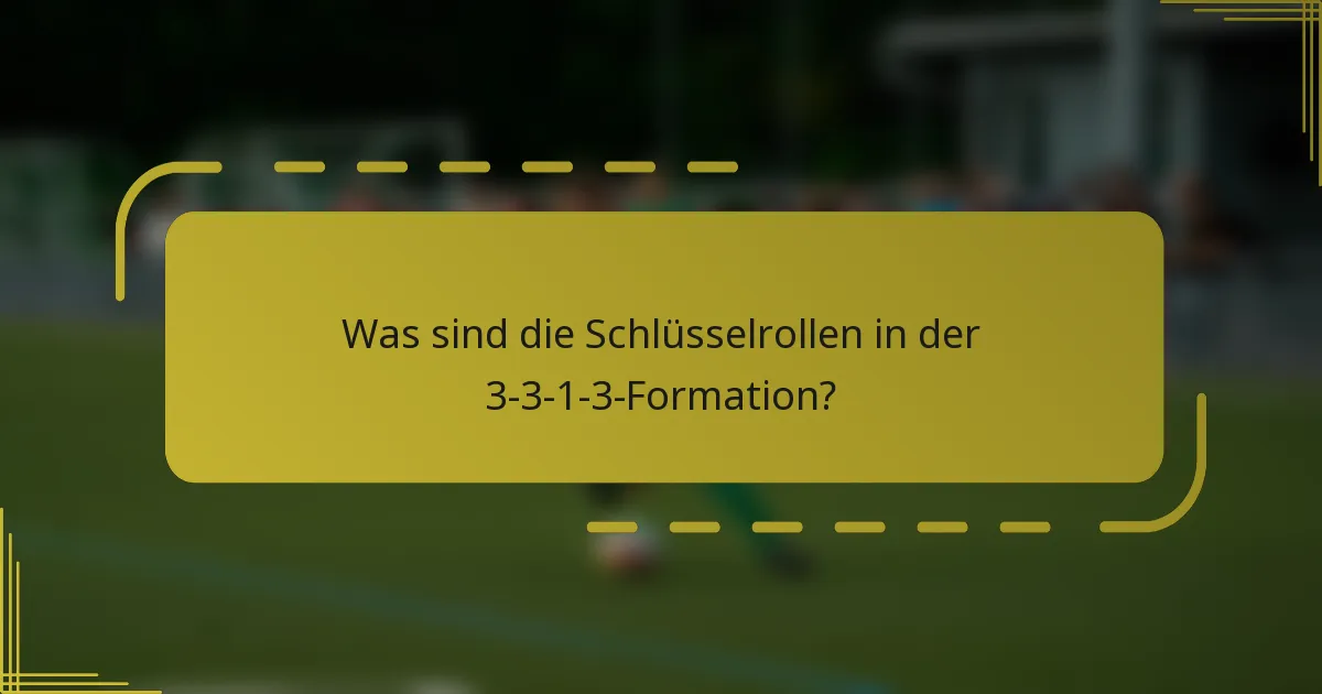 Was sind die Schlüsselrollen in der 3-3-1-3-Formation?