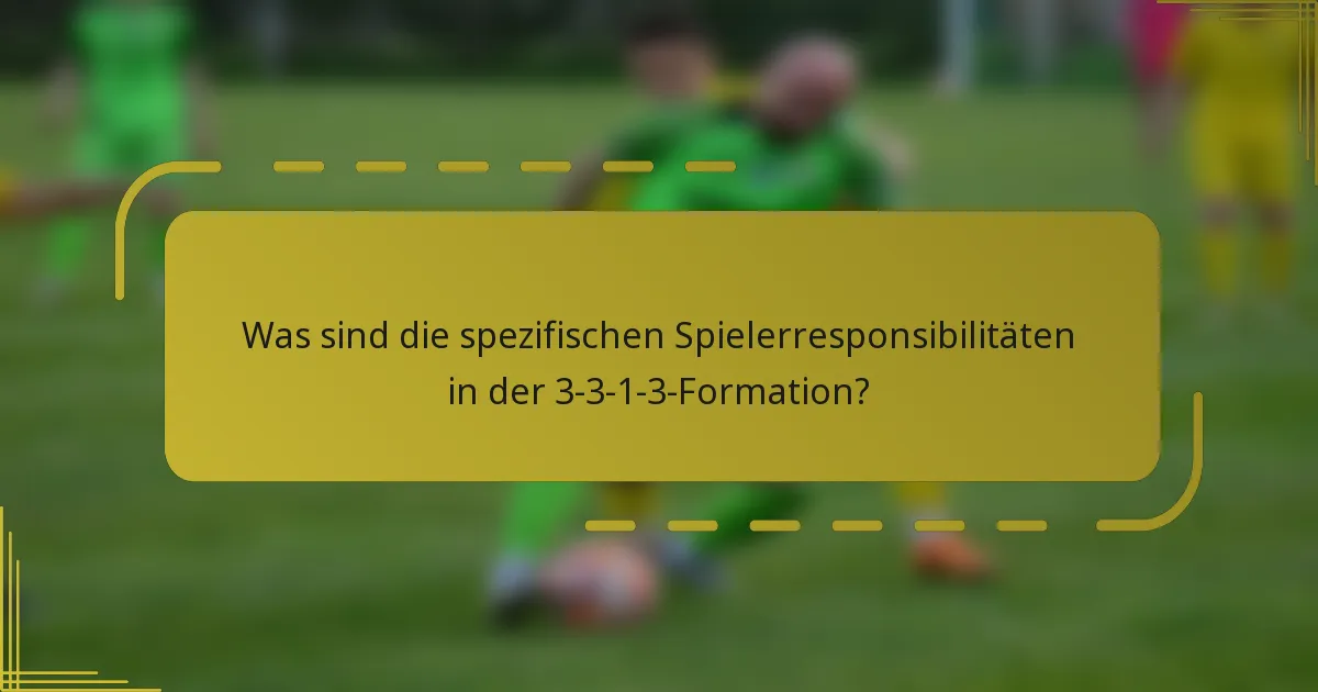 Was sind die spezifischen Spielerresponsibilitäten in der 3-3-1-3-Formation?