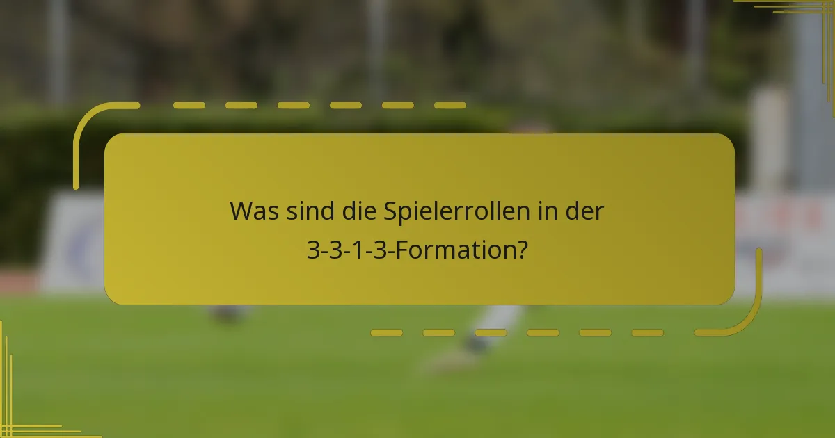Was sind die Spielerrollen in der 3-3-1-3-Formation?